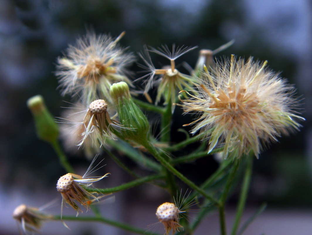 ��������� ����� ������ ���� �� PhotoGeek.ru #������ ��� �������