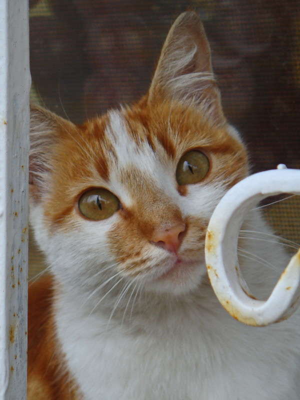 ����� ����� ������ ���� �� PhotoGeek.ru #�������� ���