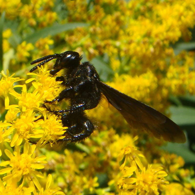 ������ �� ������ ����� ������ ���� �� PhotoGeek.ru #�����