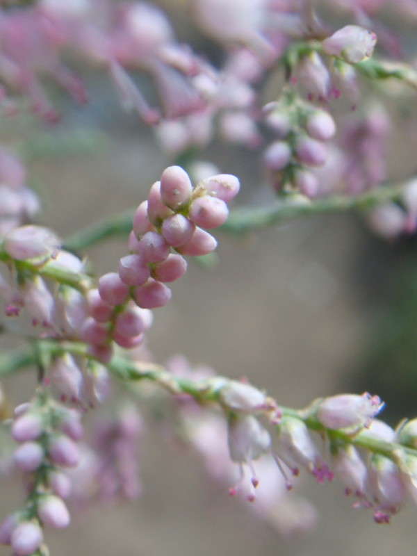 �������� ����� ������ ���� �� PhotoGeek.ru #������ ��� �������