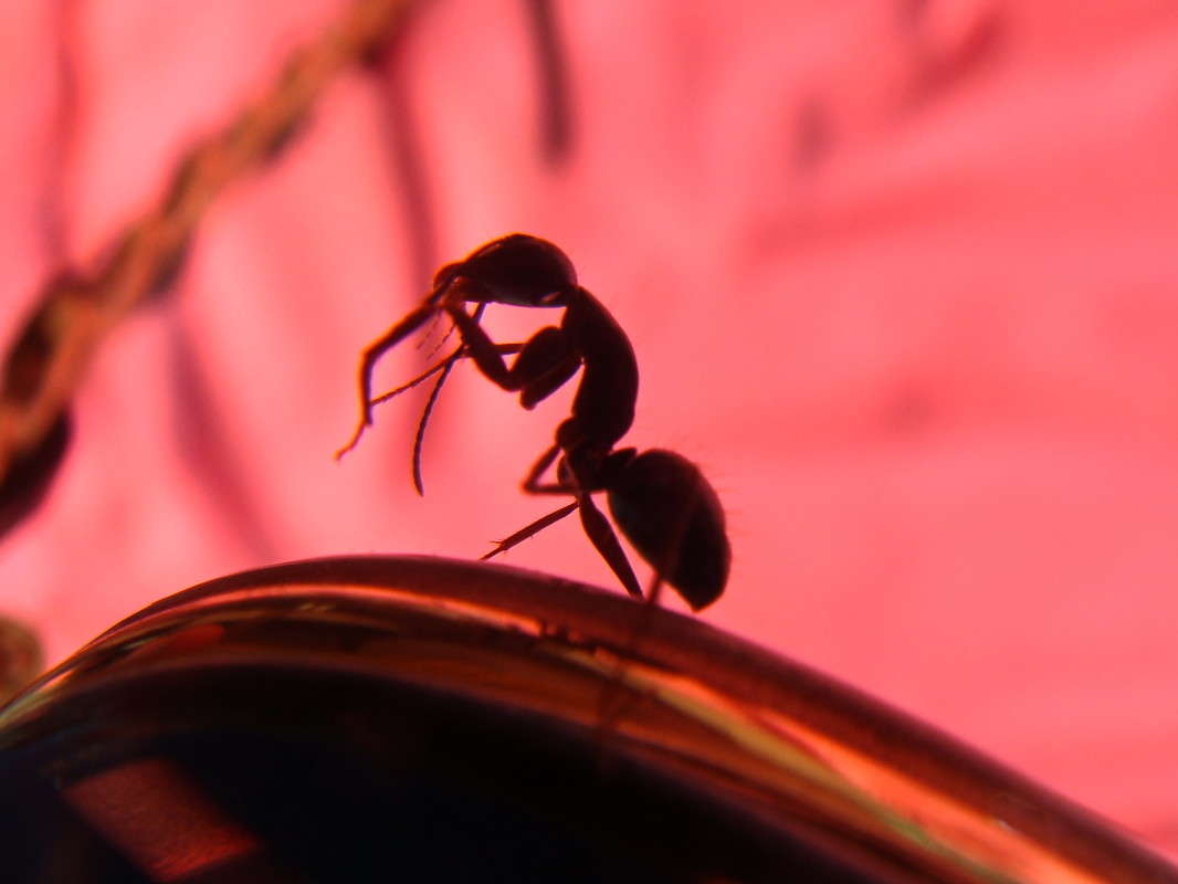 �������� �������� - ���������� ���������... ����� ������ ���� �� PhotoGeek.ru #����� #���������