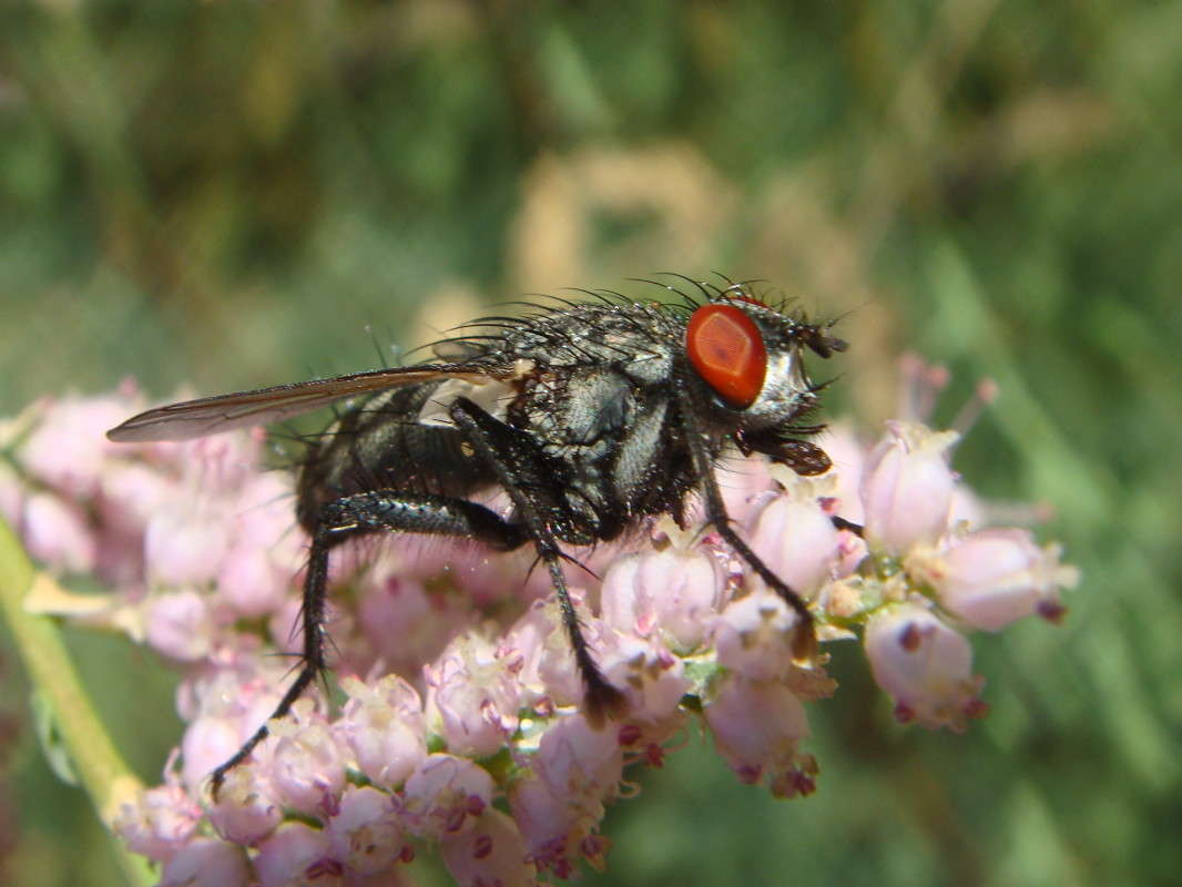 ���� ����� ������ ���� �� PhotoGeek.ru #�����