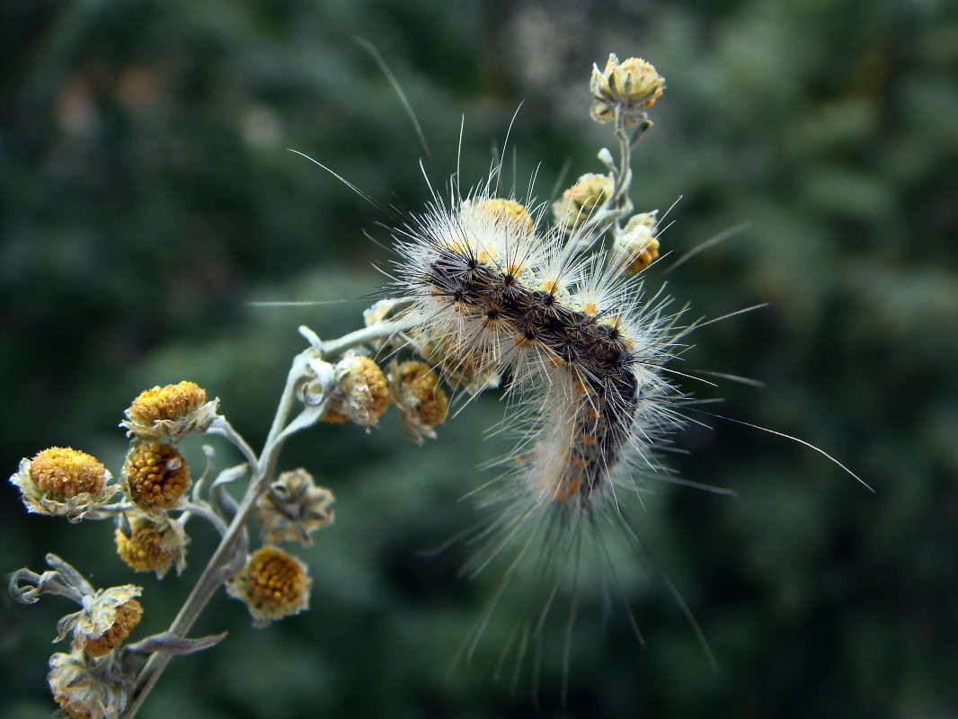 ��������� �� ������� ������ ����� ������ ���� �� PhotoGeek.ru #�����