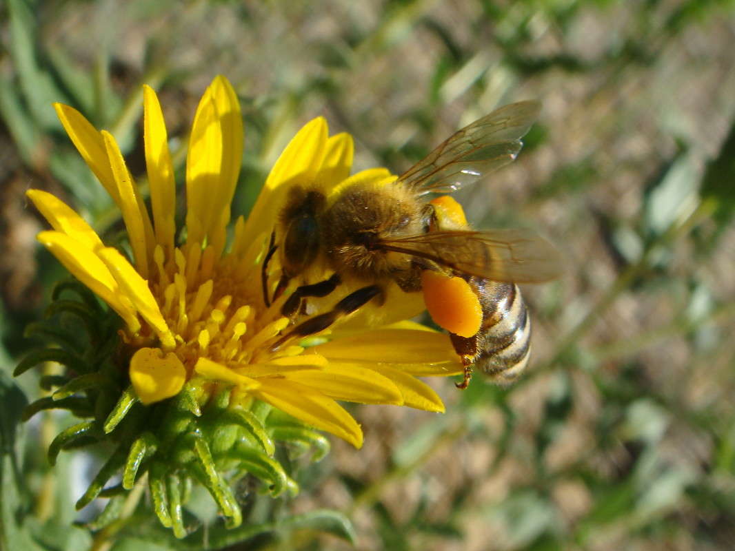 ����� � ������� ������� ����� ������ ���� �� PhotoGeek.ru #�����