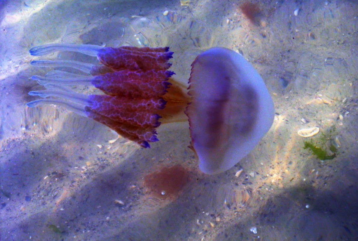 ������������ ������ ����� ������ ���� �� PhotoGeek.ru #�������� ���