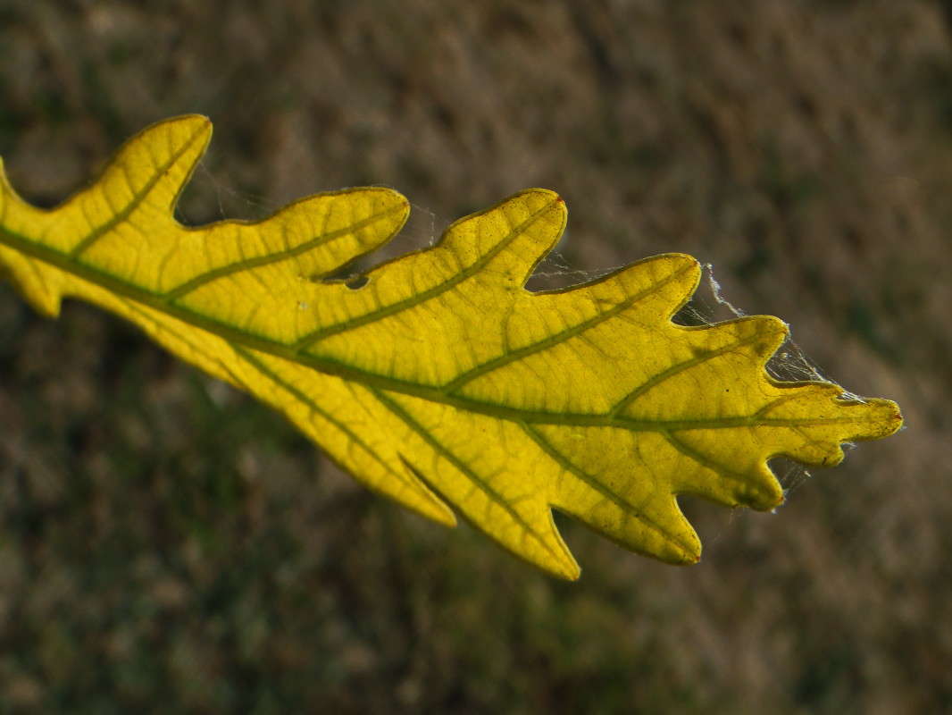 �������� ����� ����� ������ ���� �� PhotoGeek.ru #������ ��� �������