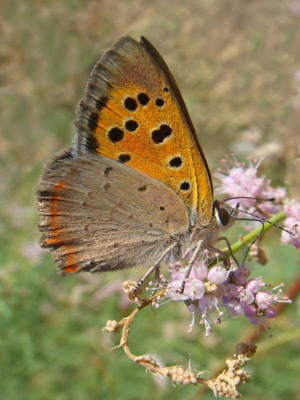 ������� � �������� ����� ������ ���� �� PhotoGeek.ru #�����