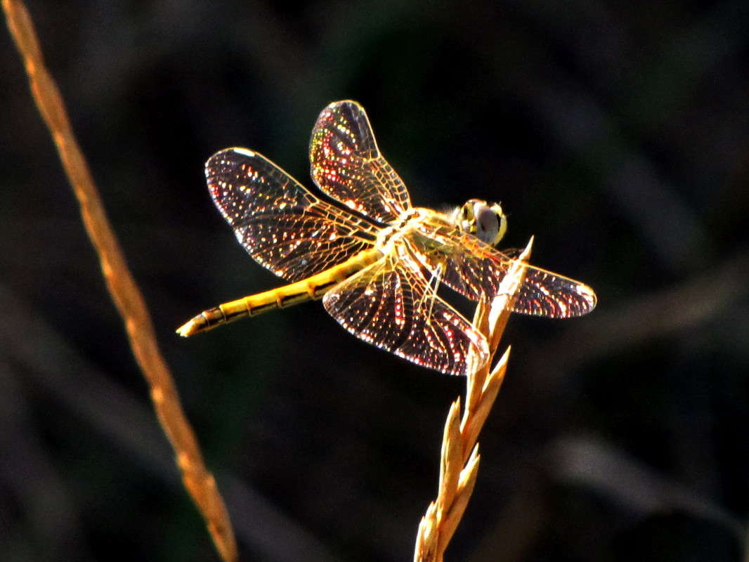 ������� �������� ����� ������ ���� �� PhotoGeek.ru #�����