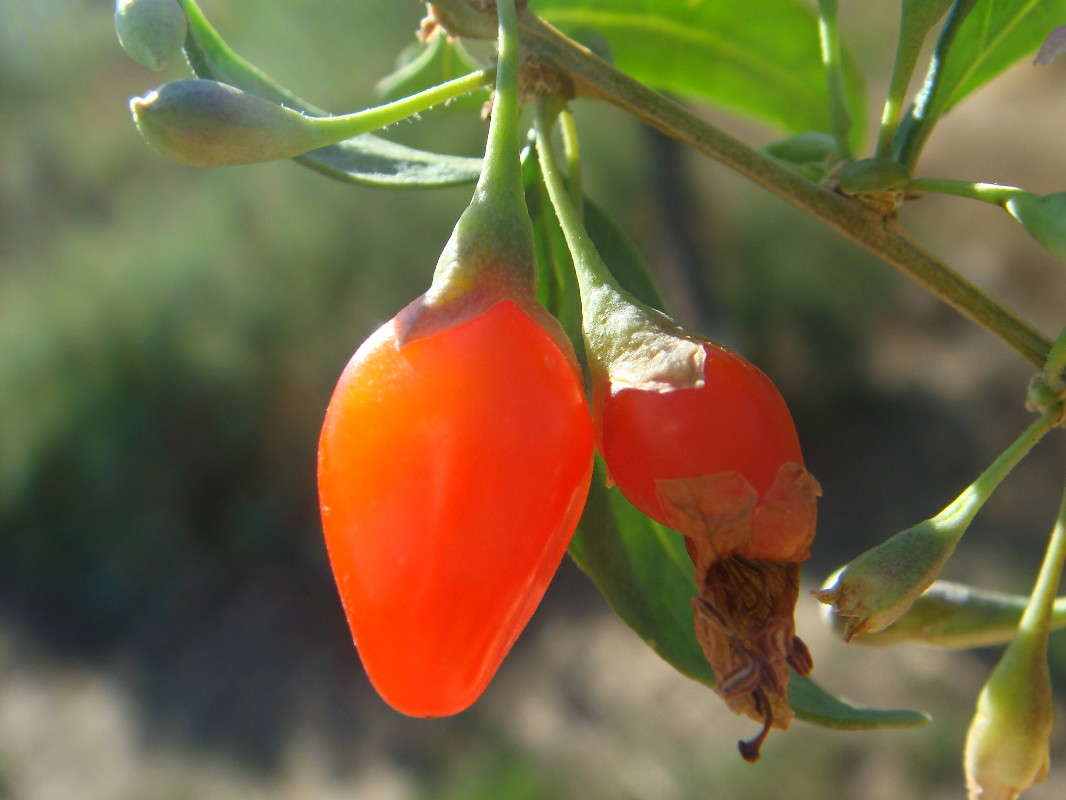 ���� ������ ����� ������ ���� �� PhotoGeek.ru #������ ��� �������