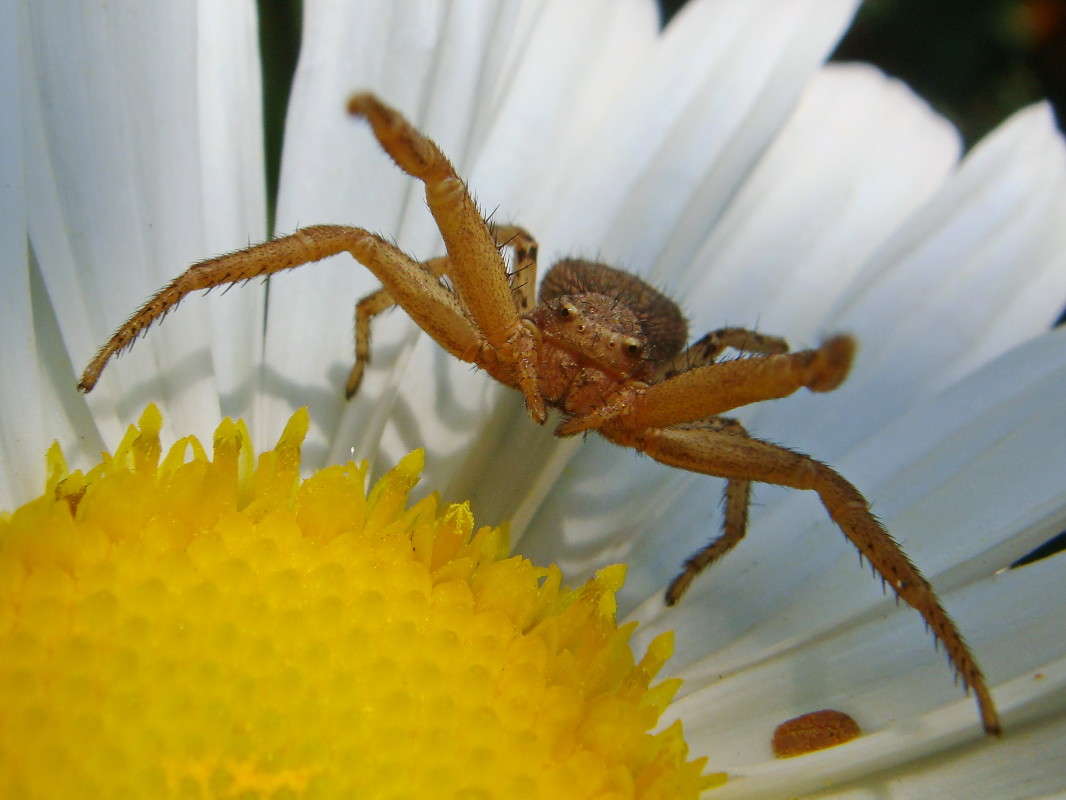 � �������� ����- �������� ����� ������ ���� �� PhotoGeek.ru #�����