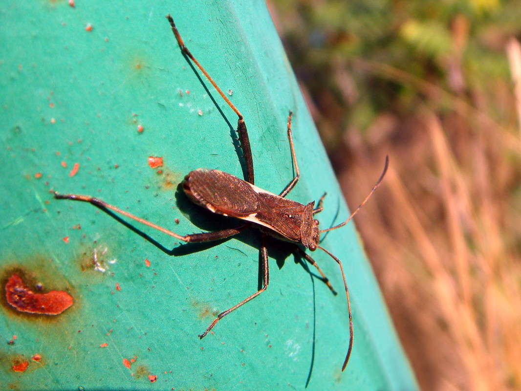 ���-�� ����� ������ ���� �� PhotoGeek.ru #�����