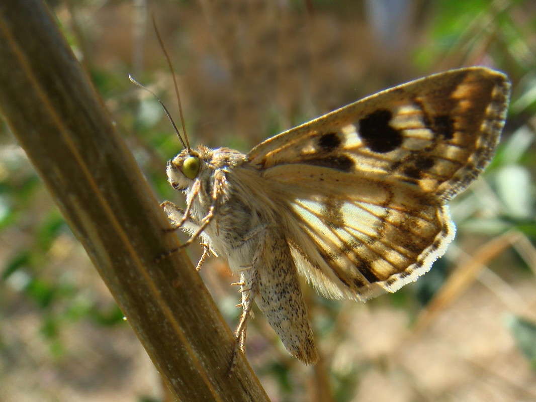 ����� ����� ������ ���� �� PhotoGeek.ru #�����