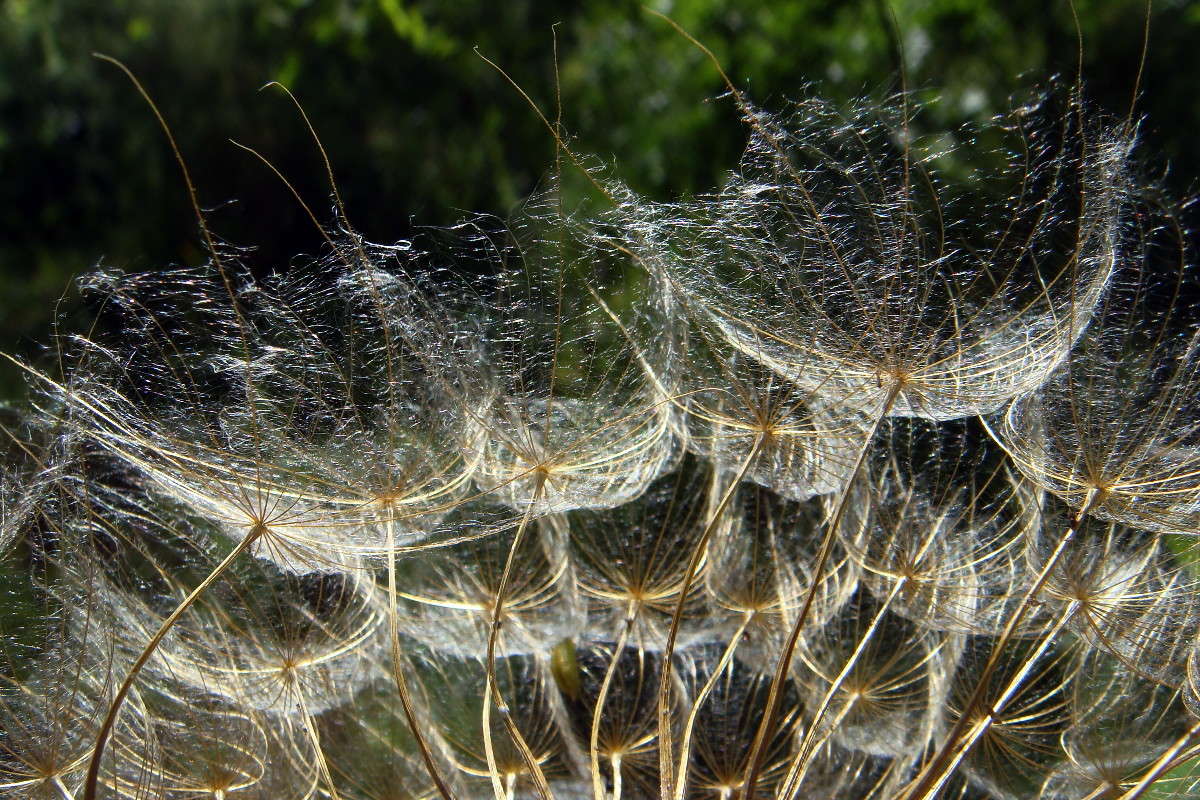 ���������� ����� ������ ���� �� PhotoGeek.ru #����� #����� ��������������