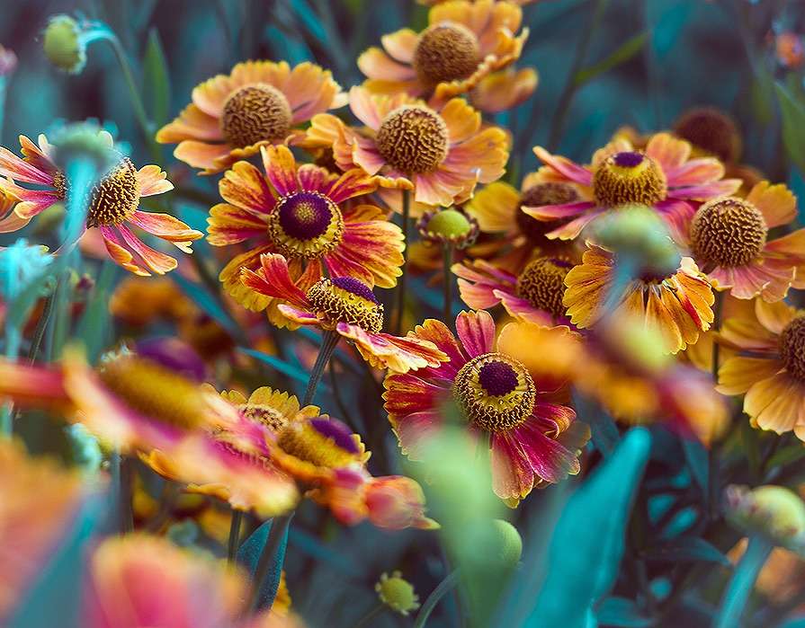 ����� ��� ����� �����  �� PhotoGeek.ru #������ ��� ������� #����� ��������������