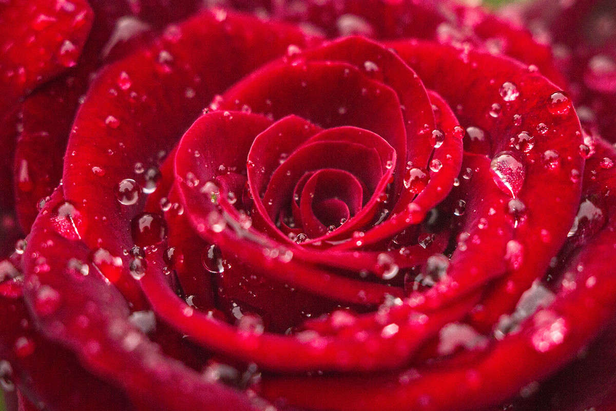 ����� ����� ����� �����  �� PhotoGeek.ru #������ ��� ������� #����� ��������������