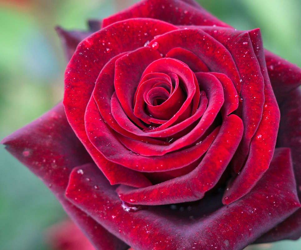 ������ ����� ����� �����  �� PhotoGeek.ru #������ ��� ������� #����� ��������������