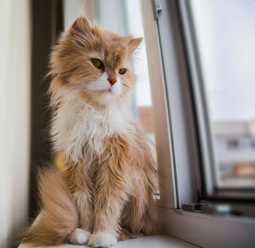 � ������, ��������! ����� ������ ������ �� PhotoGeek.ru #�������� ���