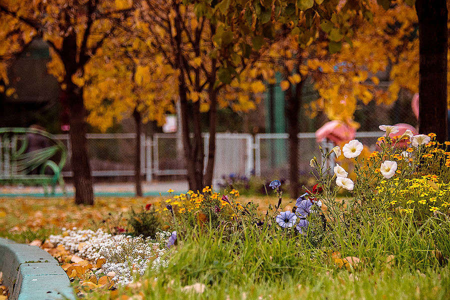 ����� ���������� ����� ������ ������ �� PhotoGeek.ru #������ ��� �������