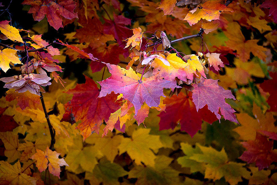 �������� ������ ����� ������ ������ �� PhotoGeek.ru #������ ��� �������