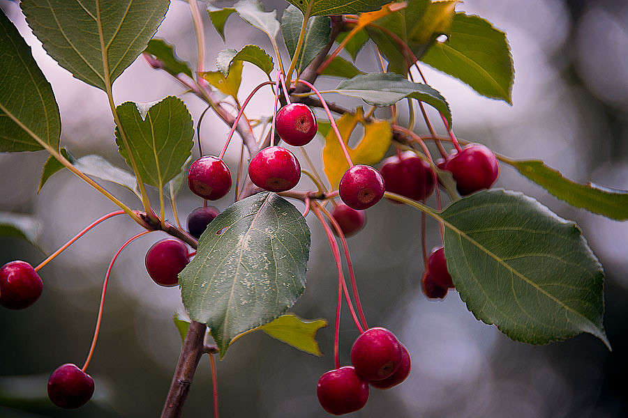 ��� �������� �1 ����� ������ ������ �� PhotoGeek.ru #������ ��� �������