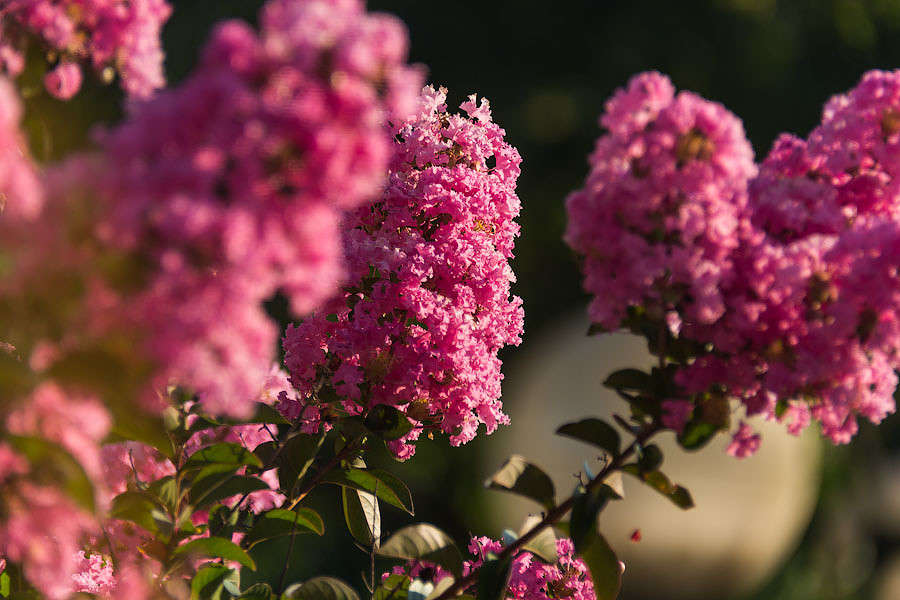 ������ �������� ���� ����� ������ ������ �� PhotoGeek.ru #������ ��� �������