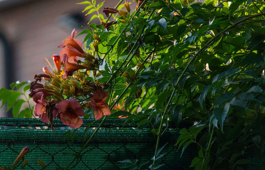 ����� ��������� ��� ����� ������ ������ �� PhotoGeek.ru #������ ��� �������