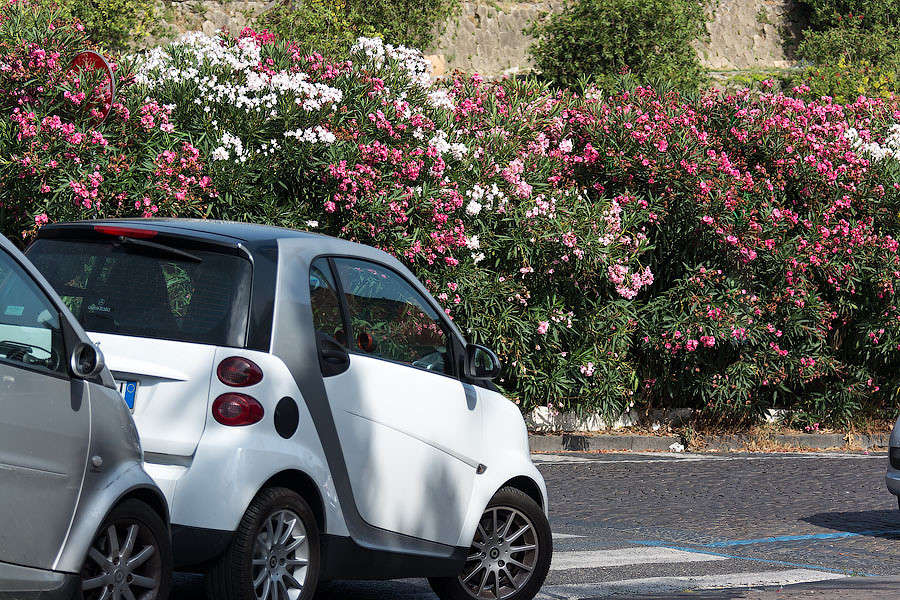 ������ ���� ����� ������ ������ �� PhotoGeek.ru #����� #�������� ����������