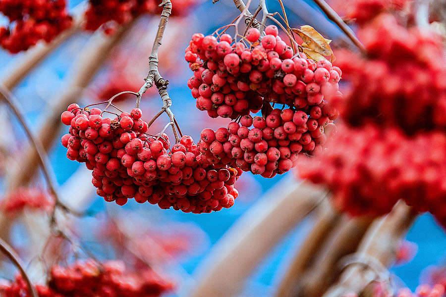 �������� ����� ����� ������ ������ �� PhotoGeek.ru #������ ��� �������