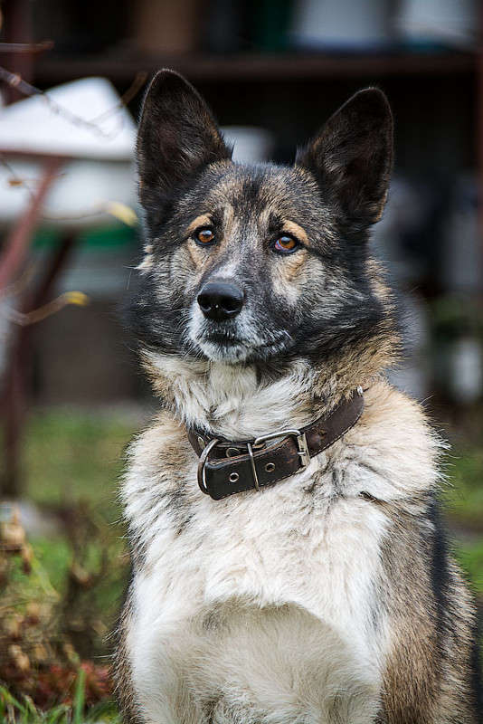 ������ ����� ������ ������ �� PhotoGeek.ru #�������� ���