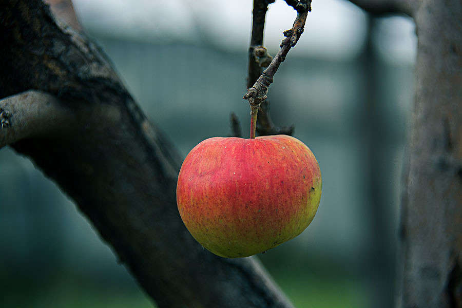 ��������� ����� ������ ������ �� PhotoGeek.ru #������ ��� �������