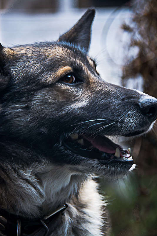 ����? ����? ����� � �������? ����� ������ ������ �� PhotoGeek.ru #�������� ��� #�������� ����������