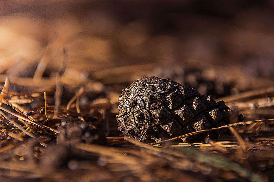 ����� ����� ������ ������ �� PhotoGeek.ru #������ ��� �������