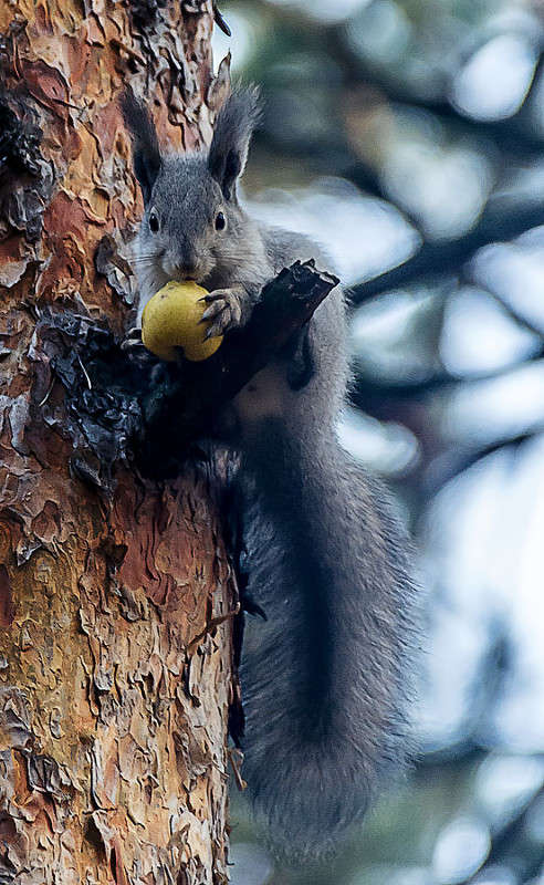 ������� �� ���� ����� ������ ������ �� PhotoGeek.ru #�������� ��� #������ ��� �������