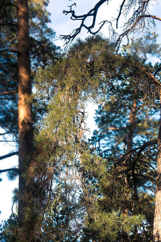 ������� ����� ������ ������ �� PhotoGeek.ru #������ ��� �������