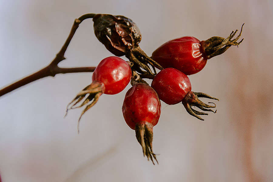 ��������� ����� ������ ������ �� PhotoGeek.ru #������ ��� �������