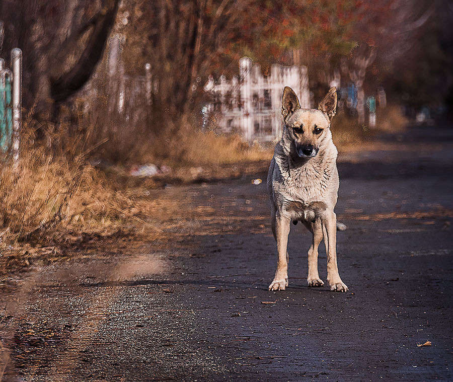 � �������� ����� ������ ������ �� PhotoGeek.ru #�������� ���