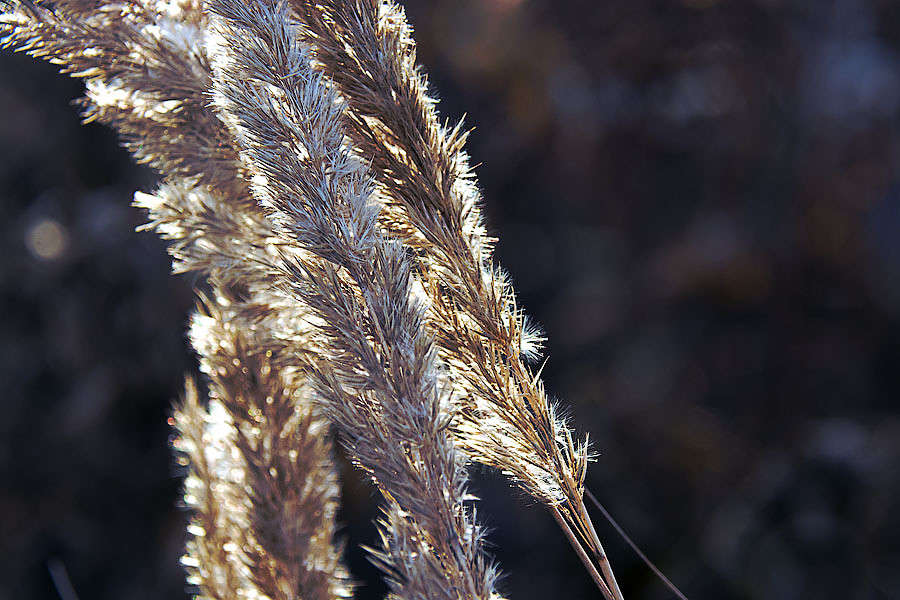 ��������� �5 ����� ������ ������ �� PhotoGeek.ru #������ ��� �������