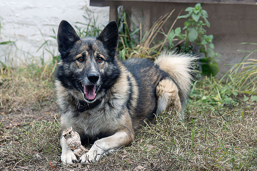 ������� ������� ����� ������ ������ �� PhotoGeek.ru #�������� ���