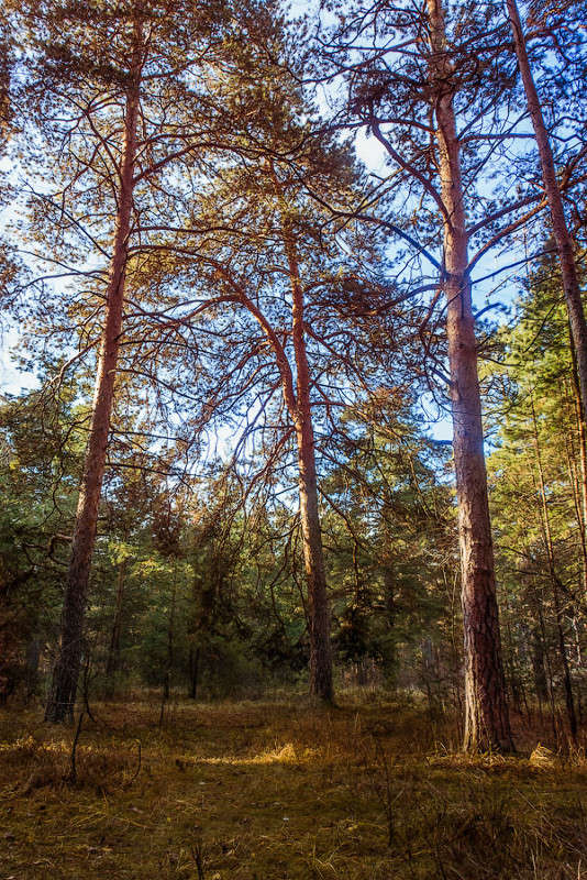 ������� ��� ����� ������ ������ �� PhotoGeek.ru #������ ��� �������