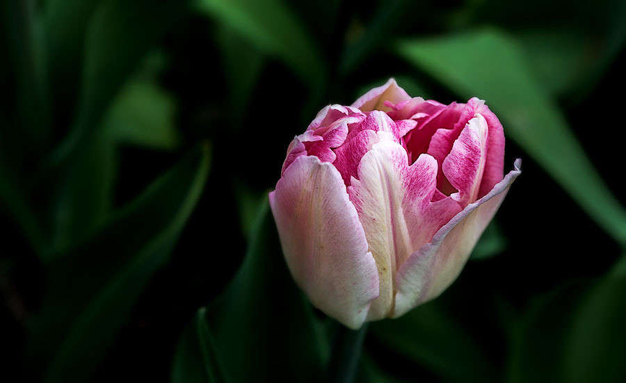 �������� ����� ������ ������ �� PhotoGeek.ru #������ ��� �������