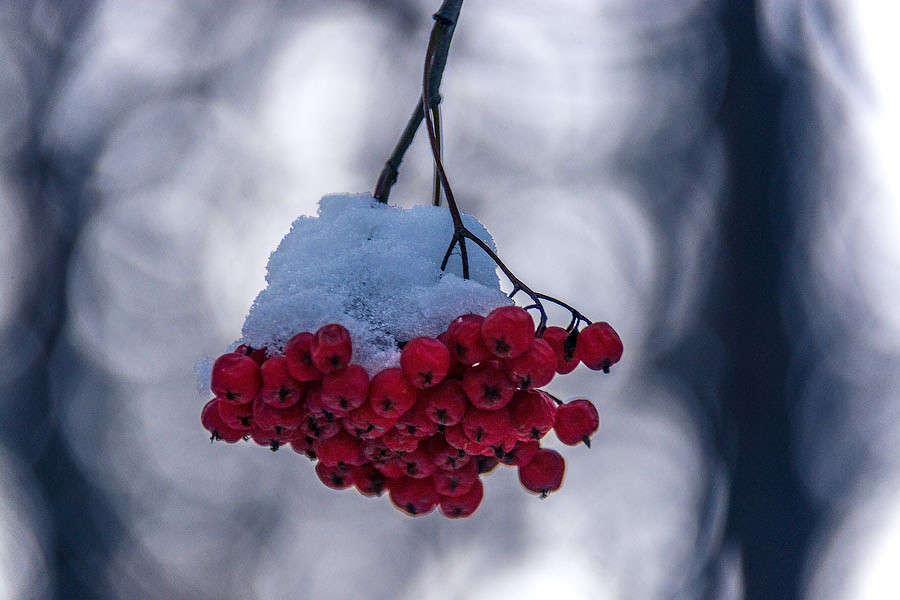 ������� �� �� �����? ����� ������ ������ �� PhotoGeek.ru #������ ��� �������