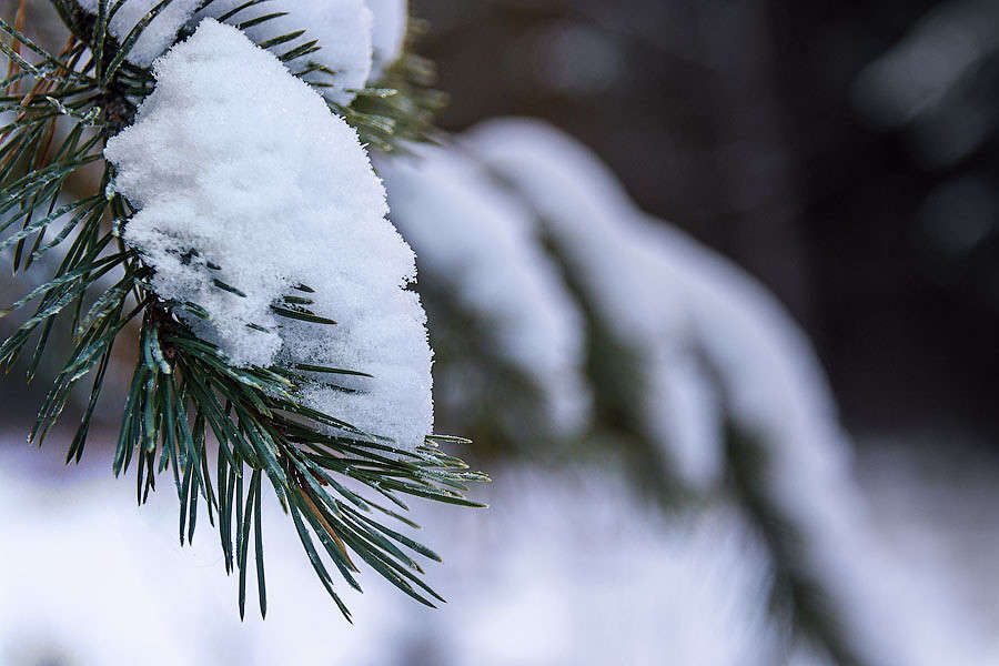 ������ ����� ������ ������ �� PhotoGeek.ru #������ ��� �������