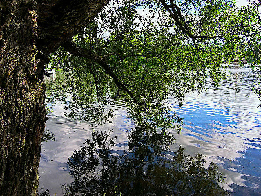 ������ ��������� ����� ������ ������ �� PhotoGeek.ru #������ ��� �������