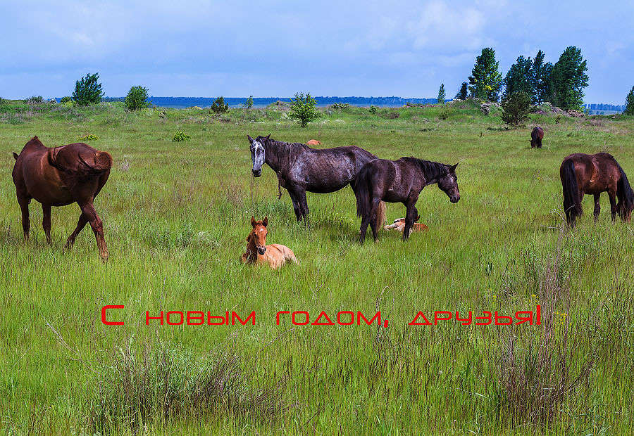 � ����� �����!!! ����� ������ ������ �� PhotoGeek.ru #������ ��� �������