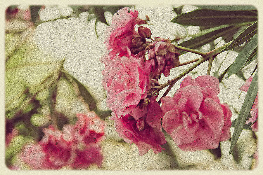 ��������� �������� ����� ������ ������ �� PhotoGeek.ru #������ ��� ������� #���-�����������