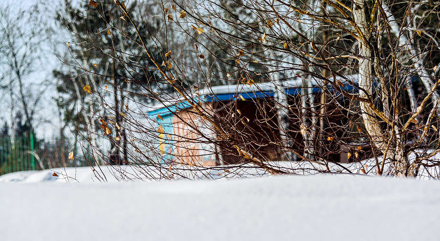 ������ ��������� ����� ������ ������ �� PhotoGeek.ru #������ ��� �������