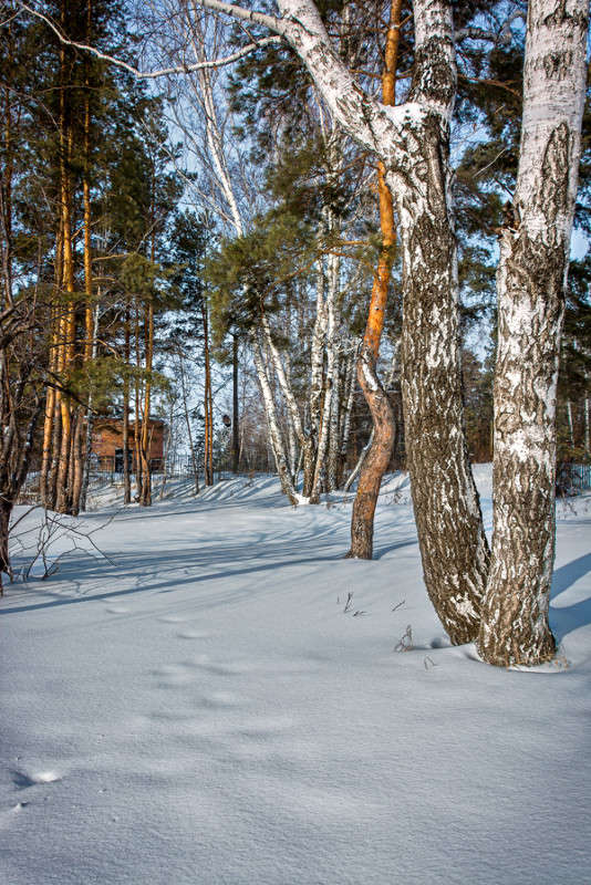 ������ �������� ����� ������ ������ �� PhotoGeek.ru #������ ��� �������