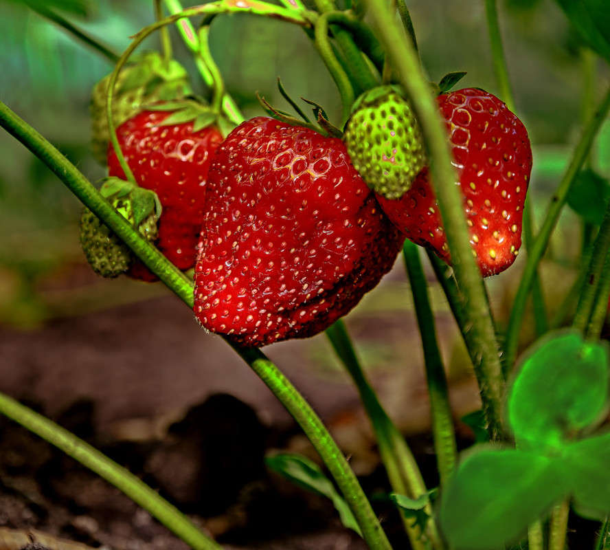 ������ ����� ����� ������ ������ �� PhotoGeek.ru #������ ��� �������