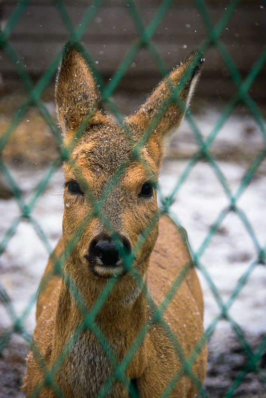 �������� ������? ����� ������ ������ �� PhotoGeek.ru #�������� ���