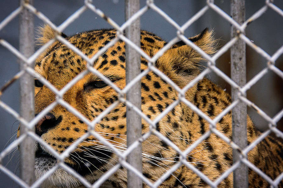 � ������� �����... ����� ������ ������ �� PhotoGeek.ru #�������� ���